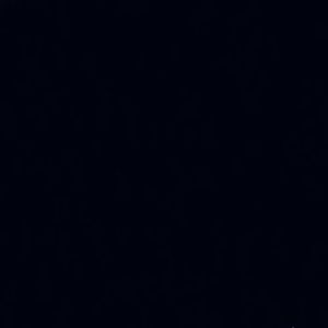 Meet your Posher, Jesse